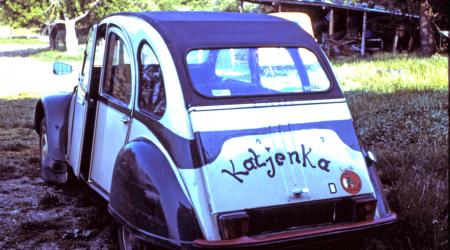 Voiture de collection « Citroën 2cv Babacool »