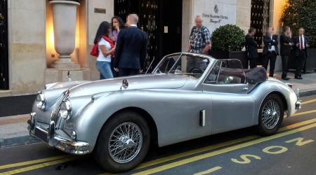 Voiture de collection « Jaguar XK 120 »