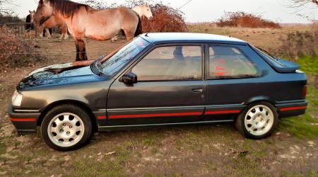 Voiture de collection « Peugeot 309 GTI 1987 »