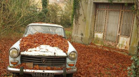 Voiture de collection « Peugeot 404 enfeuillée ! »