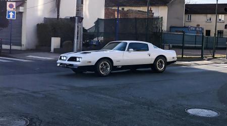 Voiture de collection « Pontiac Firebird »